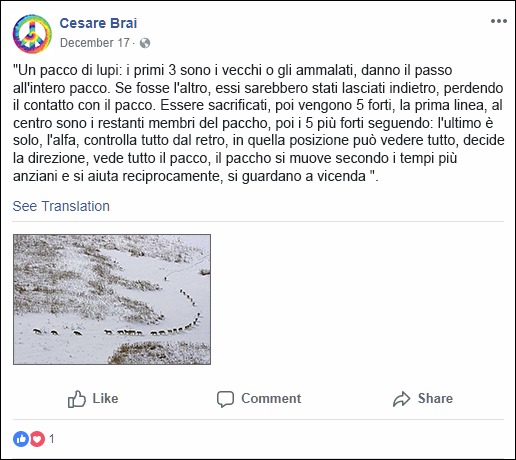 Cesare Brai FB