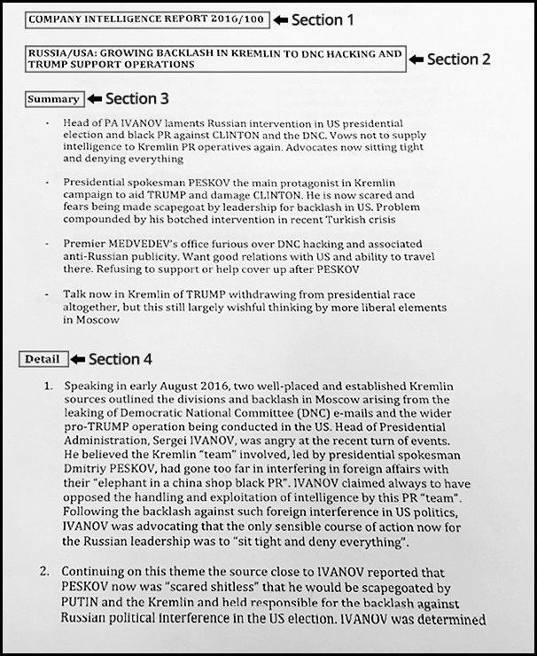 Steele Dossier Sample Page