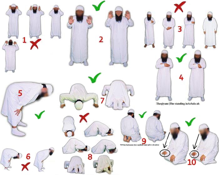 Salafy Prayer Posture-2