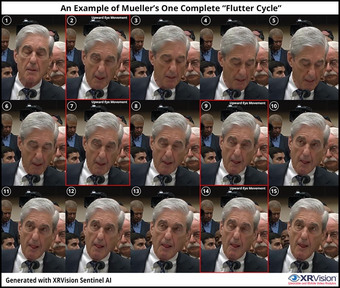 Mueller Seizer Cycle