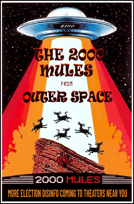 2000 Mules from other space